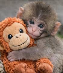 evebeyn Yokluğunun Çeşitleri, insan ve hayvan Psikolojisinin benzerlikleri: